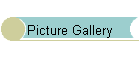 Picture Gallery